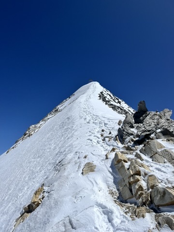 Intelligence Trainings